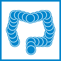Dra. María Anota Rivera, Coloproctología